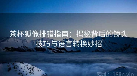 茶杯狐像排错指南：揭秘背后的镜头技巧与语言转换妙招
