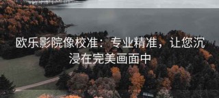 欧乐影院像校准：专业精准，让您沉浸在完美画面中