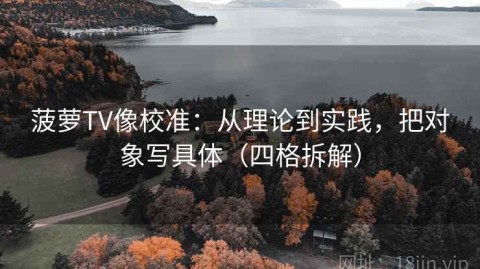 菠萝TV像校准：从理论到实践，把对象写具体（四格拆解）
