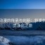 风车动漫的传承与创新：转发前的心灵净化之旅