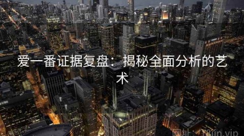 爱一番证据复盘：揭秘全面分析的艺术