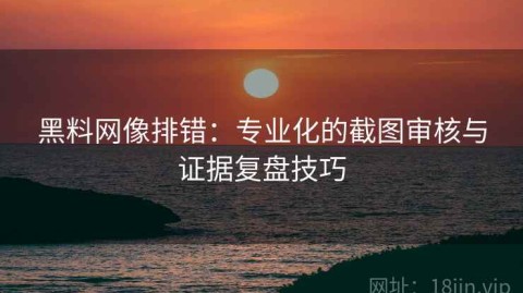 黑料网像排错：专业化的截图审核与证据复盘技巧