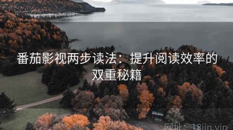 番茄影视两步读法：提升阅读效率的双重秘籍