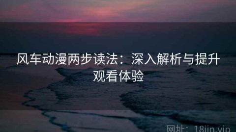 风车动漫两步读法：深入解析与提升观看体验