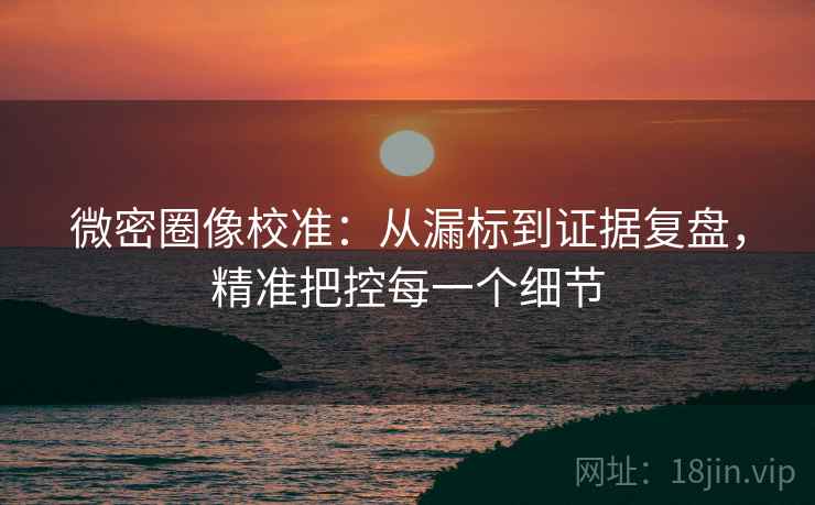微密圈像校准：从漏标到证据复盘，精准把控每一个细节