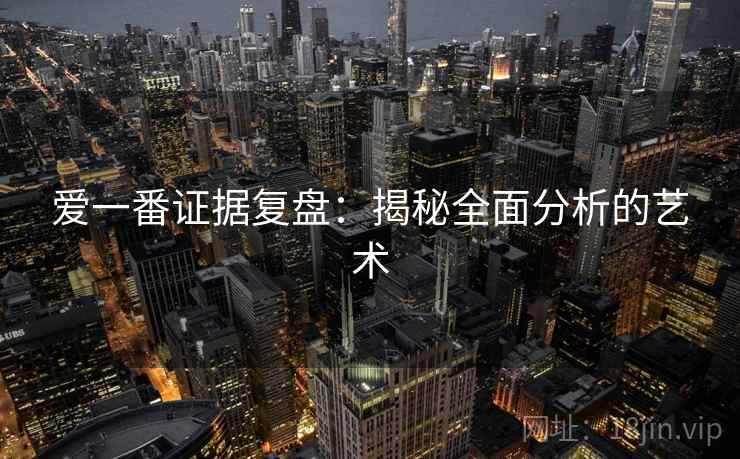 爱一番证据复盘：揭秘全面分析的艺术