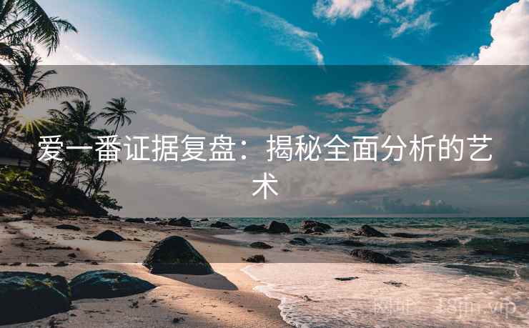 爱一番证据复盘：揭秘全面分析的艺术