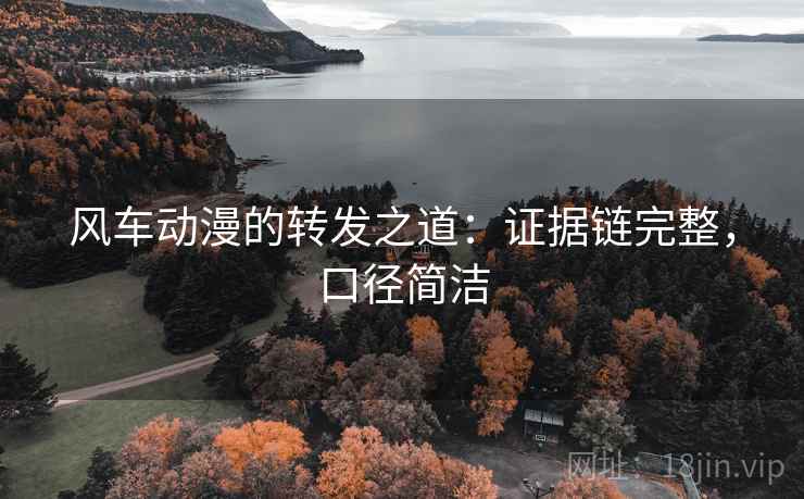风车动漫的转发之道：证据链完整，口径简洁