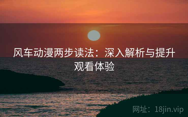 风车动漫两步读法：深入解析与提升观看体验