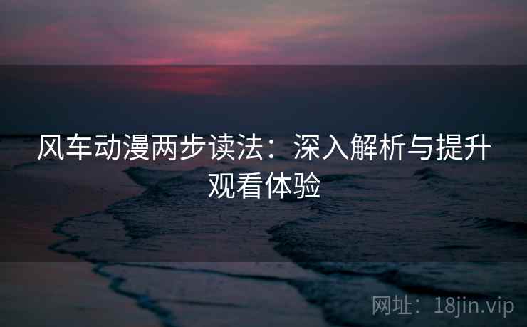 风车动漫两步读法：深入解析与提升观看体验